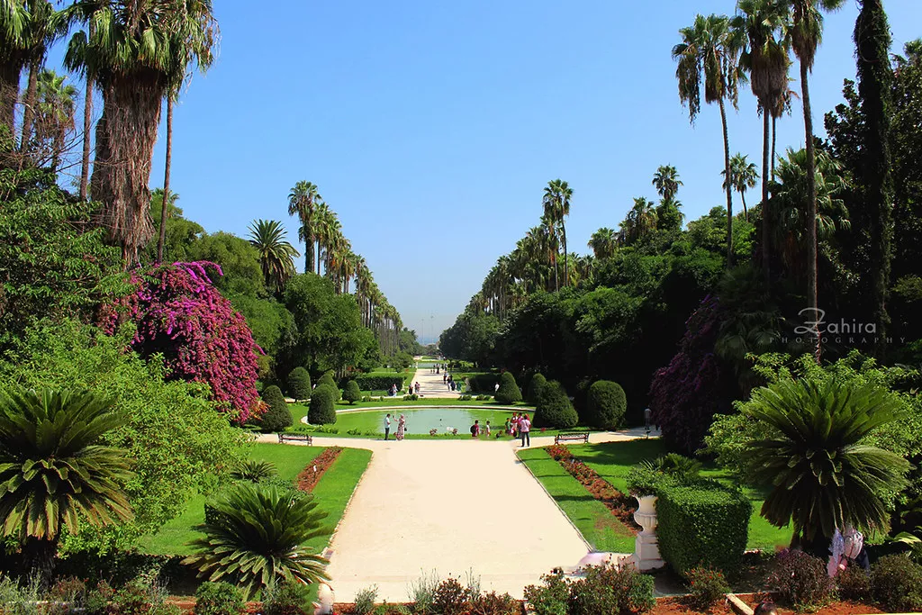 Du Amma Botanical Garden in Algeria, Africa | Botanical Gardens - Rated 3.8