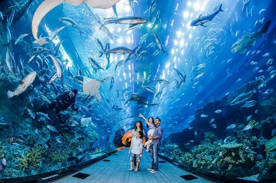 Dubai Aquarium and Underwater Zoo in United Arab Emirates, Middle East | Aquariums & Oceanariums - Rated 7.7
