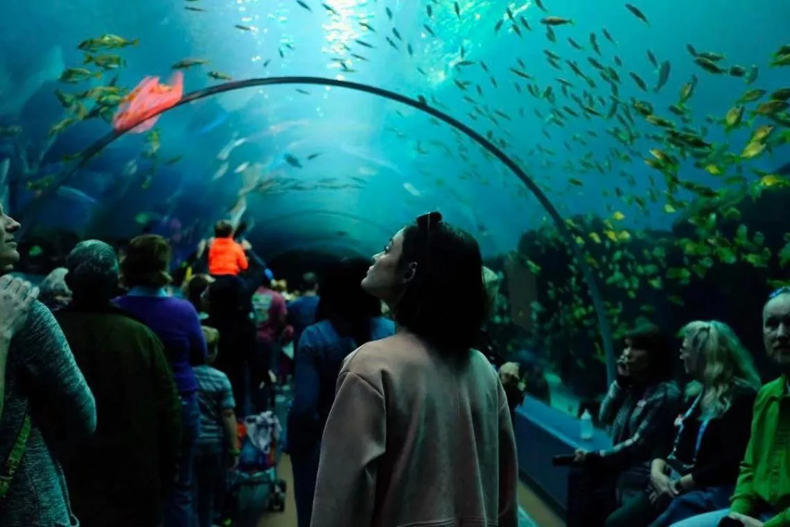 Georgia Aquarium in USA, North America | Aquariums & Oceanariums - Rated 8.5