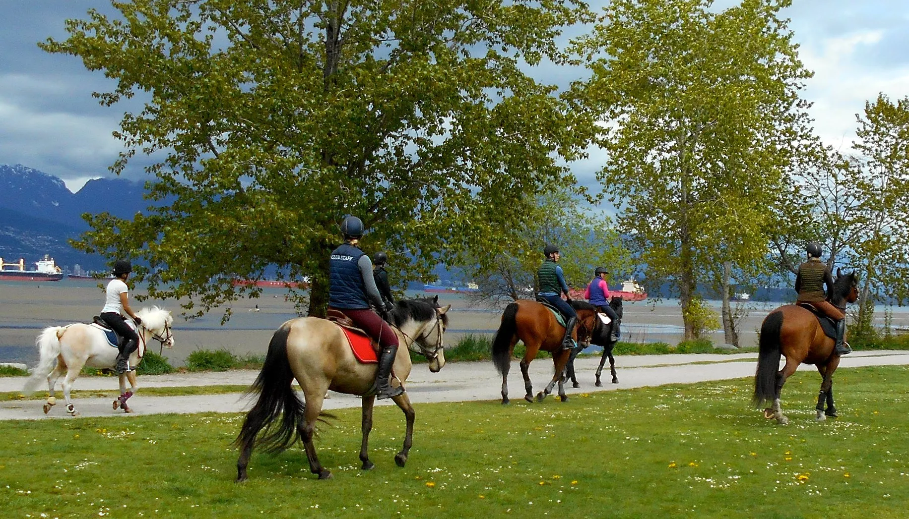 Pinecrest Stables in Canada, North America | Horseback Riding - Rated 0.9