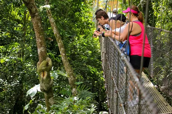 Mistico Arenal Hanging Bridges Park in Costa Rica, North America | Parks,Zip Lines - Rated 4.5