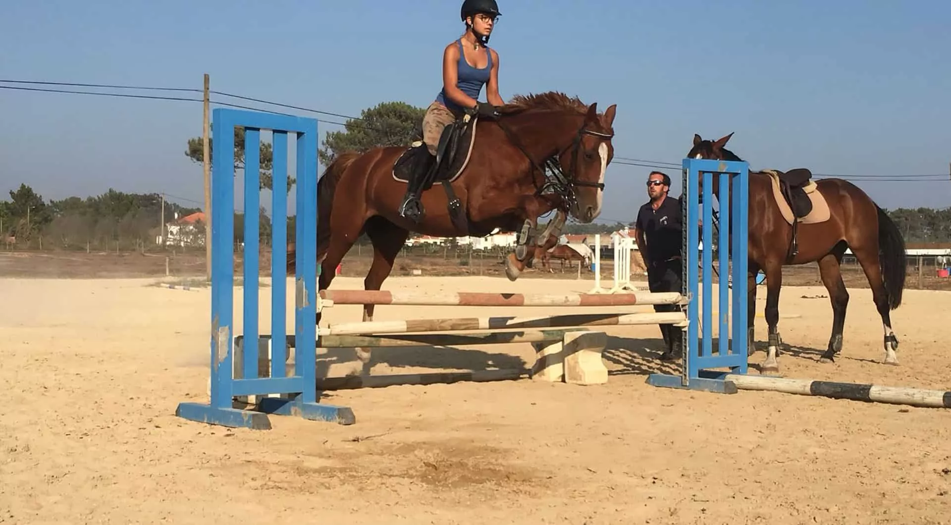 Qpa Horse Riding in Portugal, Europe | Horseback Riding - Rated 1