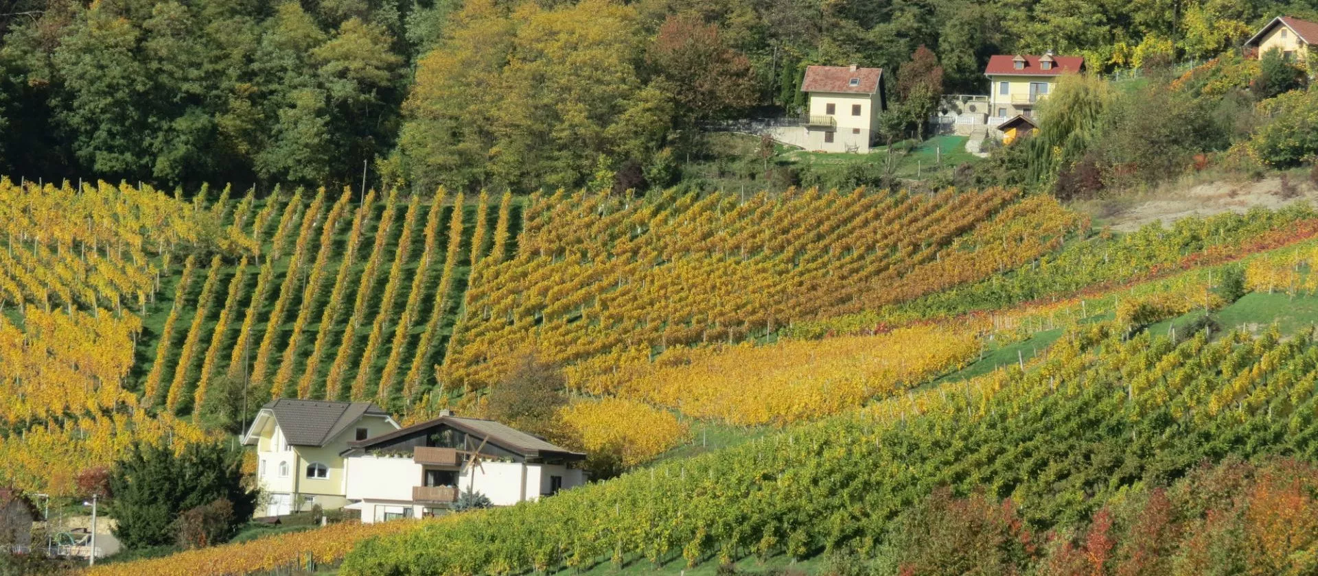 Vinogradi Horvat in Slovenia, Europe | Wineries - Rated 0.9