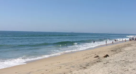 Huntington Dog Beach in USA, North America | Beaches - Rated 4.1