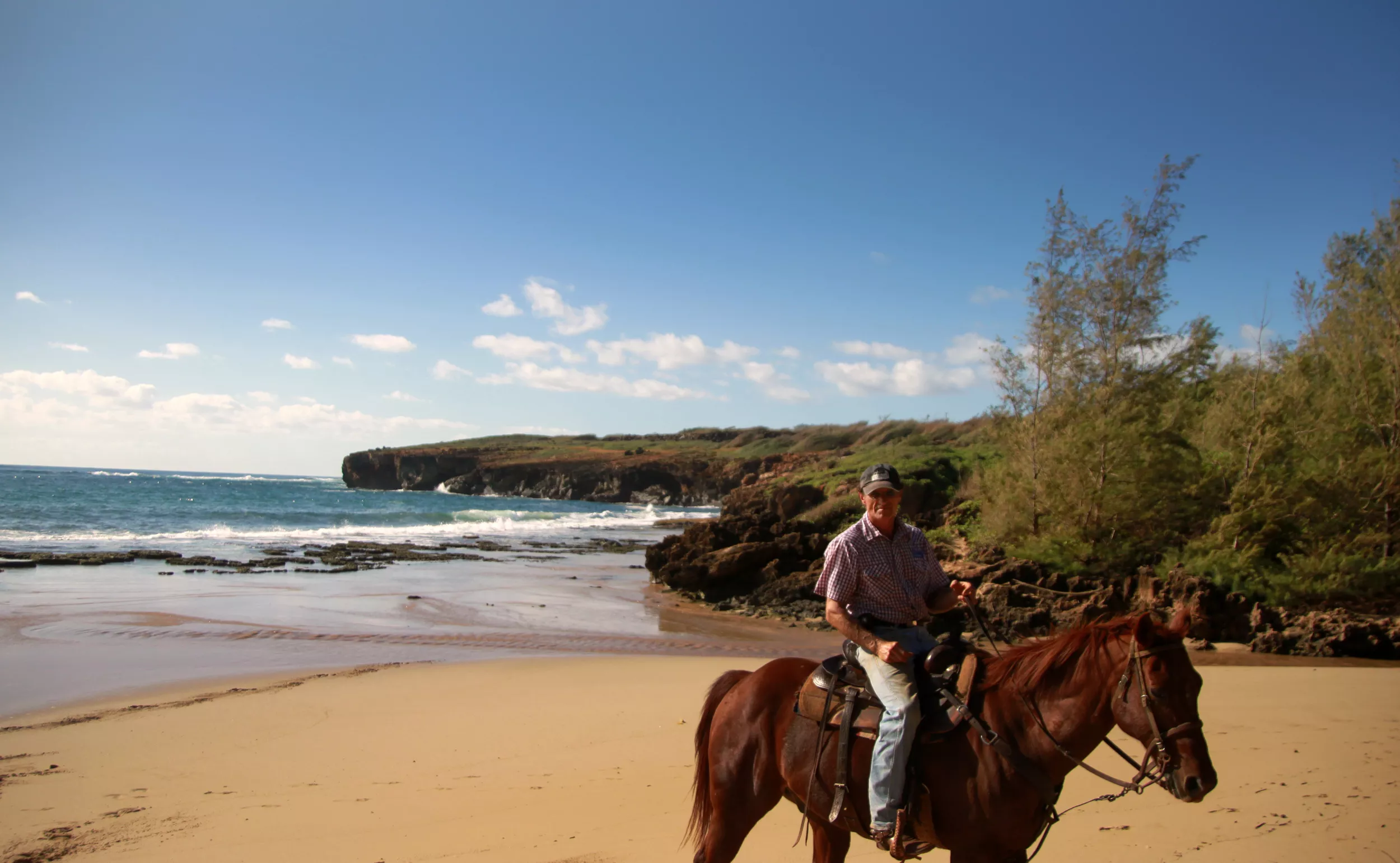 Rancho Loco in Aruba, Caribbean | Horseback Riding - Rated 4.3