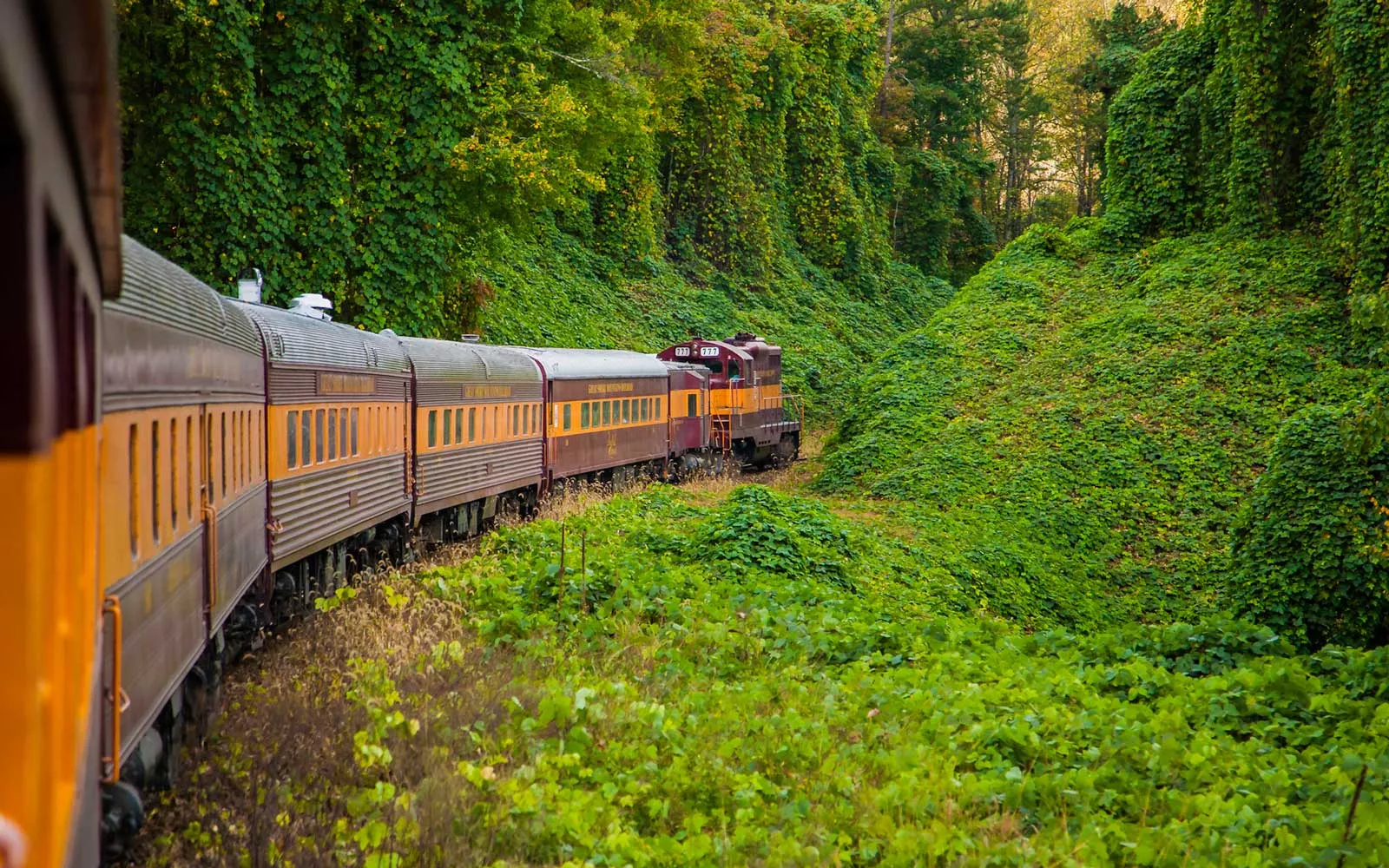 Great Smoky Mountains Railroad in USA, North America | Scenic Trains - Rated 4.5