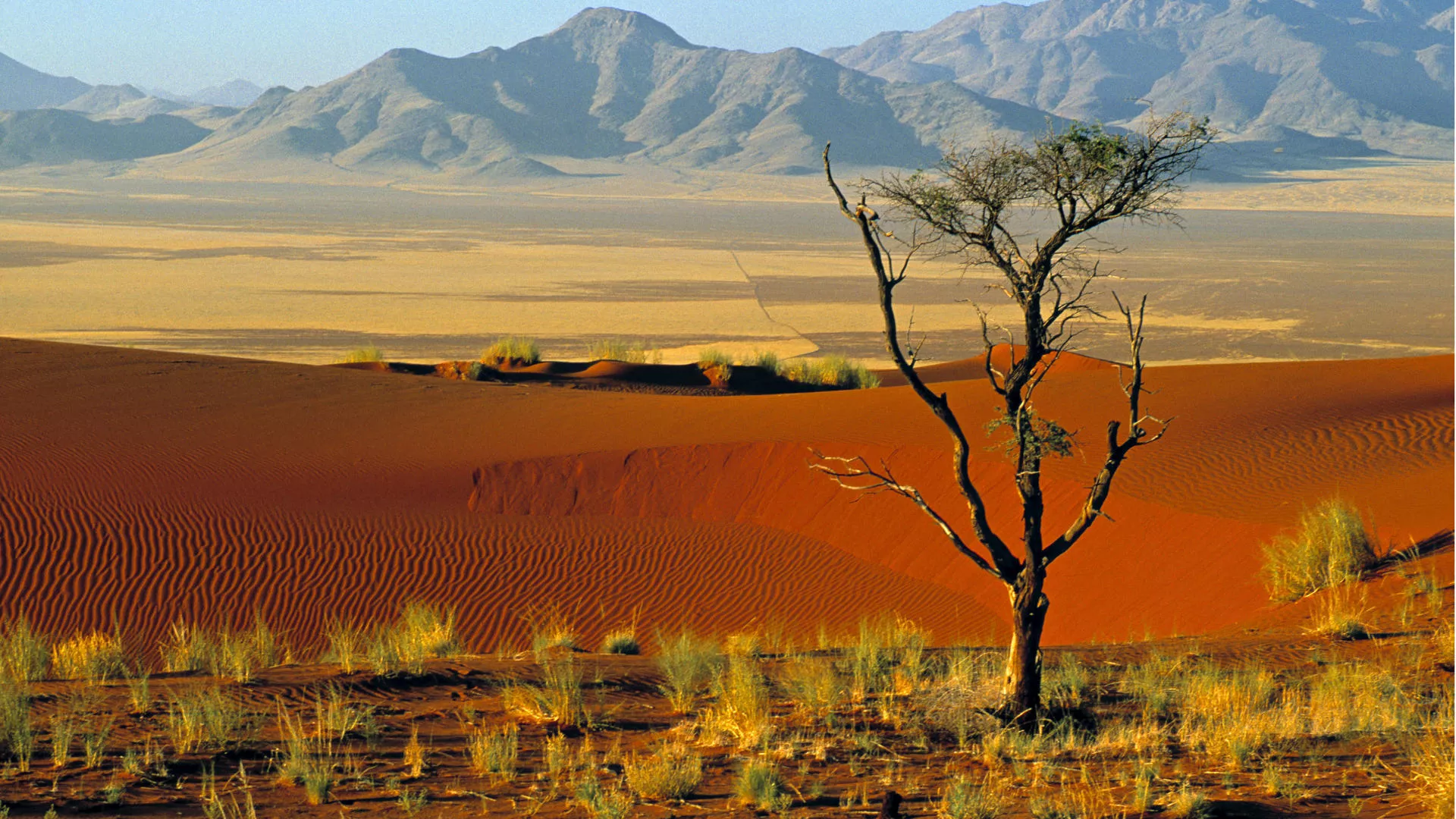 NamibRand Nature Reserve in Namibia, Africa | Nature Reserves - Rated 0.9