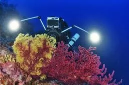 Subaia in Italy, Europe | Scuba Diving - Rated 4
