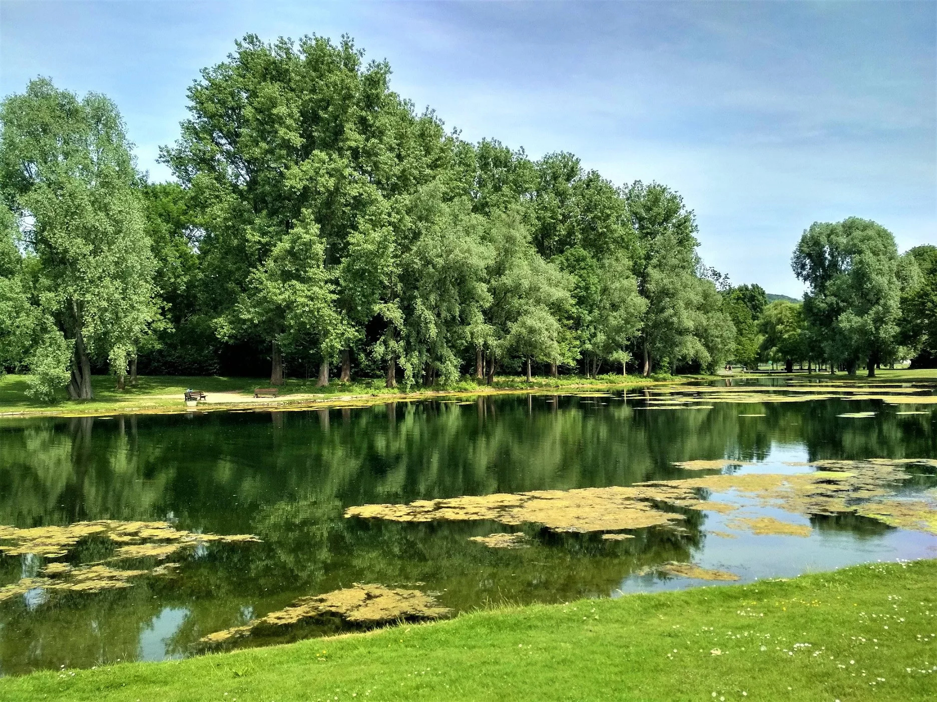 Rheinaue Park in Germany, Europe | Parks - Rated 3.9