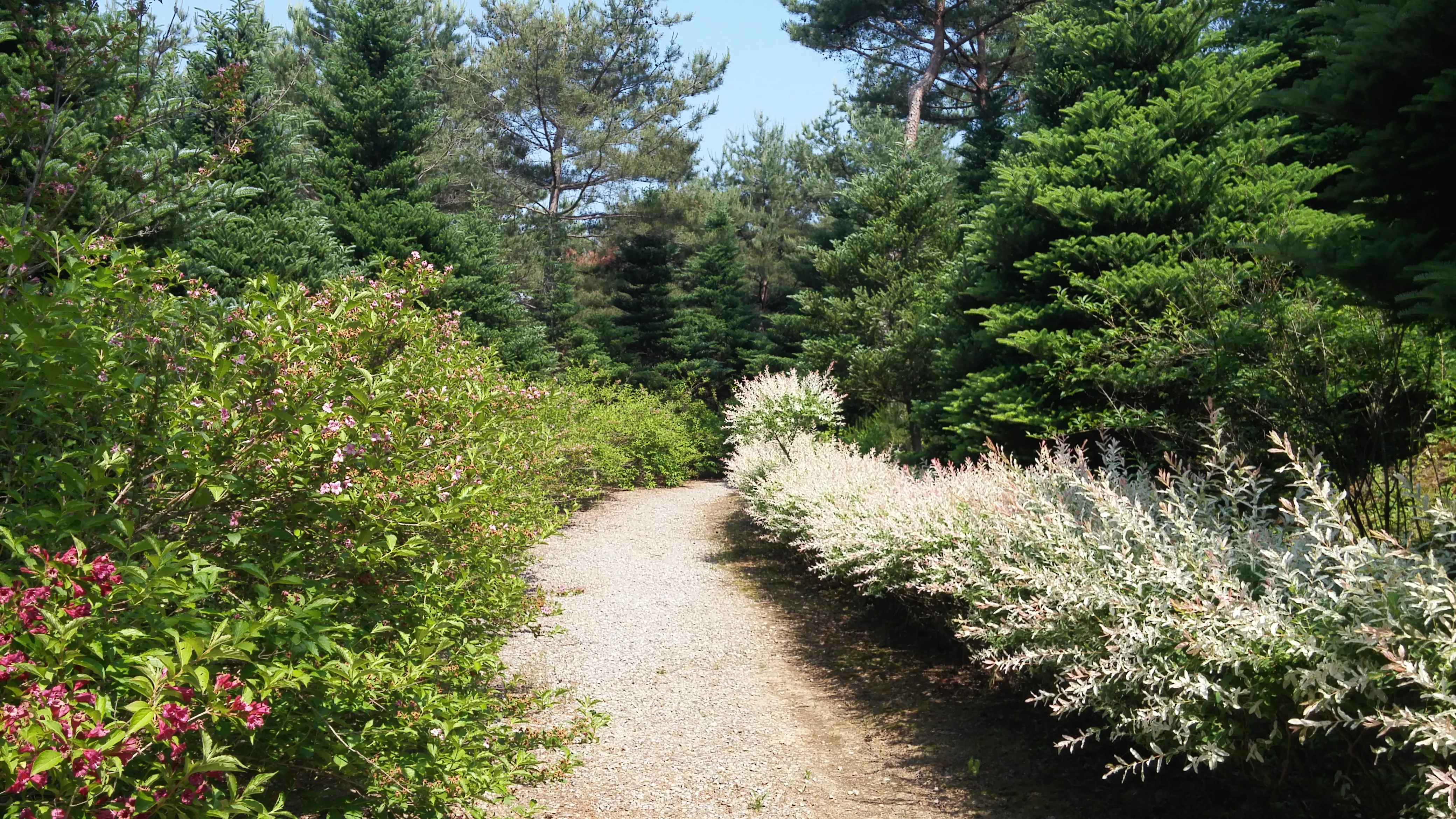 Cheokyasan Arboretum in South Korea, East Asia | Nature Reserves - Rated 0.8