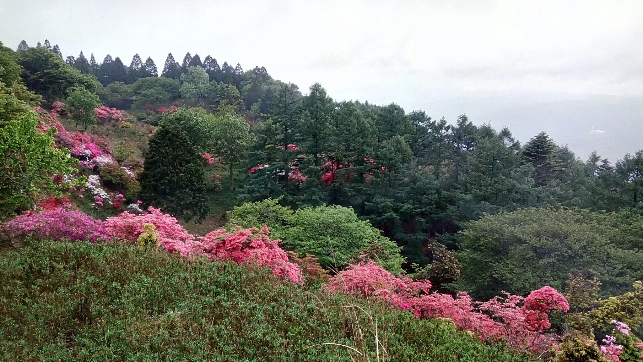 Mount Hiei in Japan, East Asia | Trekking & Hiking - Rated 3.5