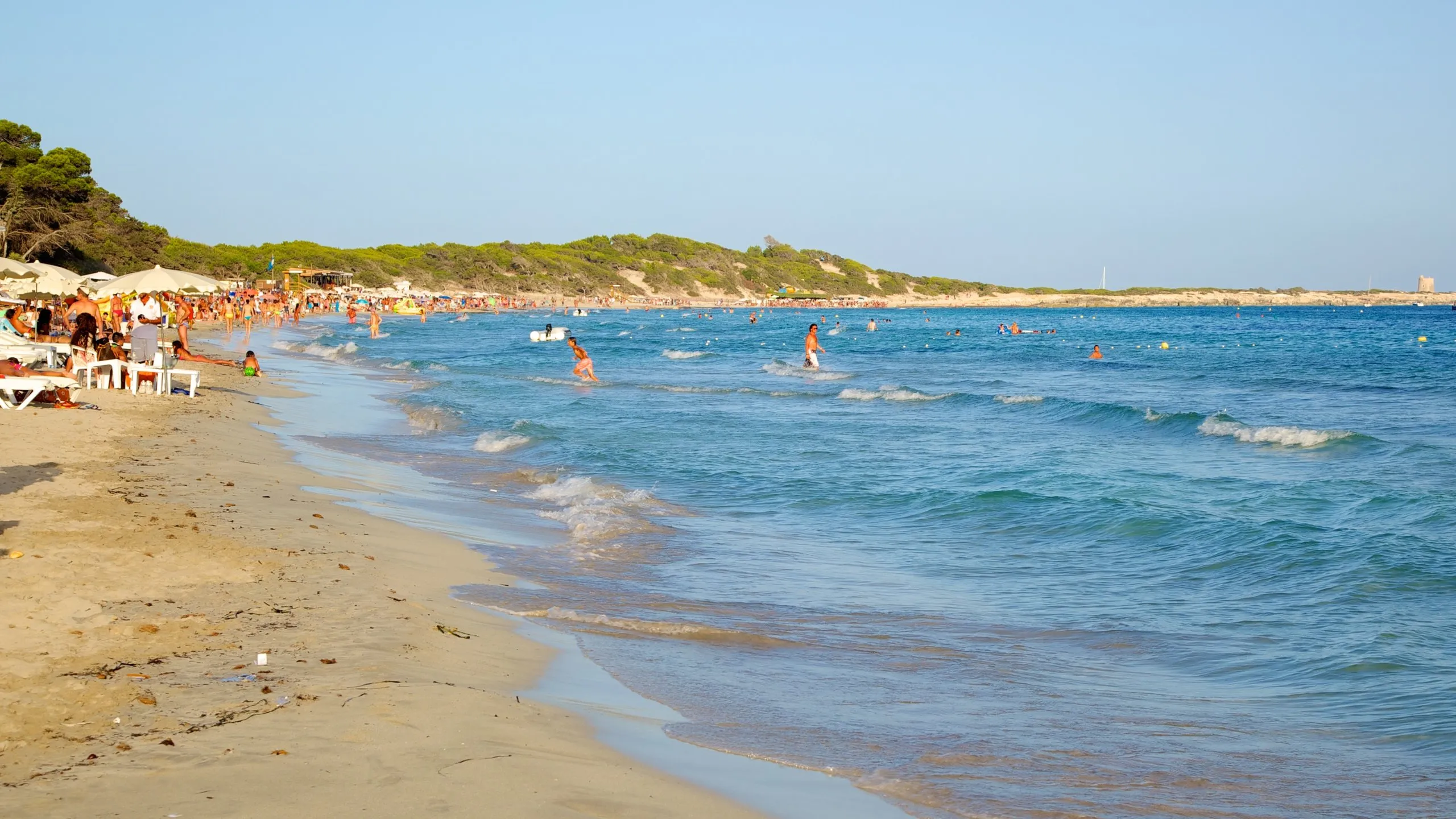 Ses Salines Beach in Spain, Europe | Beaches - Rated 3.4