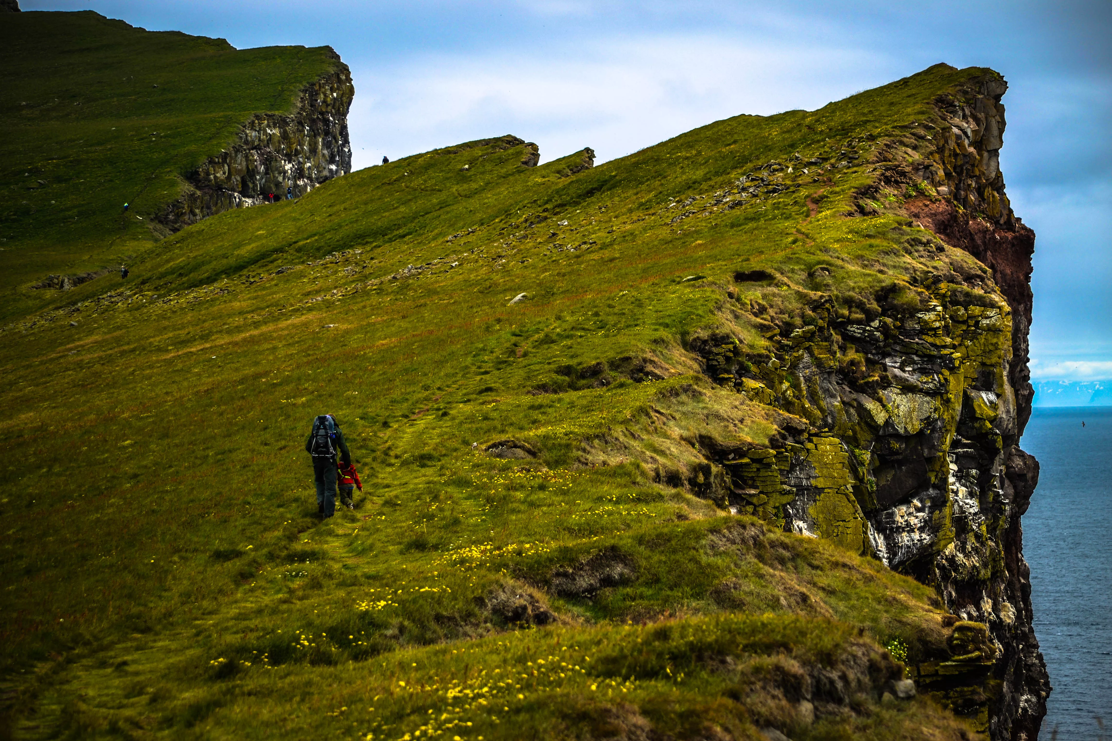 Latrabjarg Cliff in Iceland, Europe | Trekking & Hiking - Rated 0.9