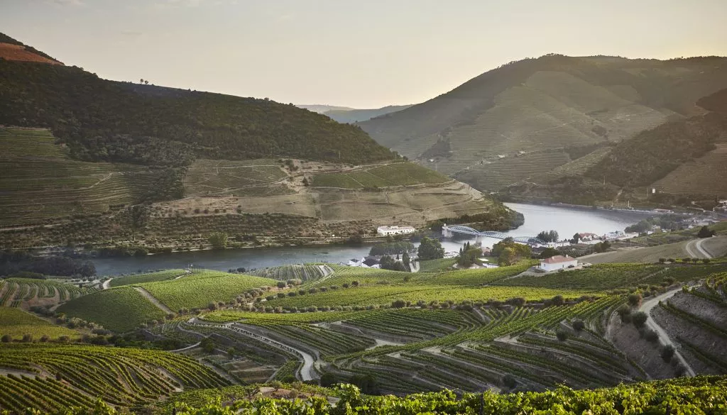 Quinta do Bomfim in Portugal, Europe | Wineries - Rated 3.9