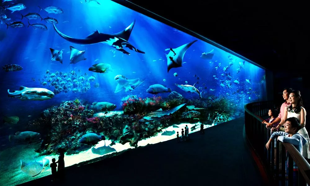 Marine Life Park in Singapore, Central Asia | Aquariums & Oceanariums - Rated 3.7