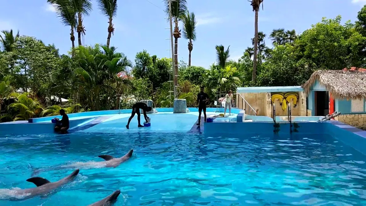 Manati Park Bavaro in Dominican Republic, Caribbean | Amusement Parks & Rides,Swimming - Rated 3.3