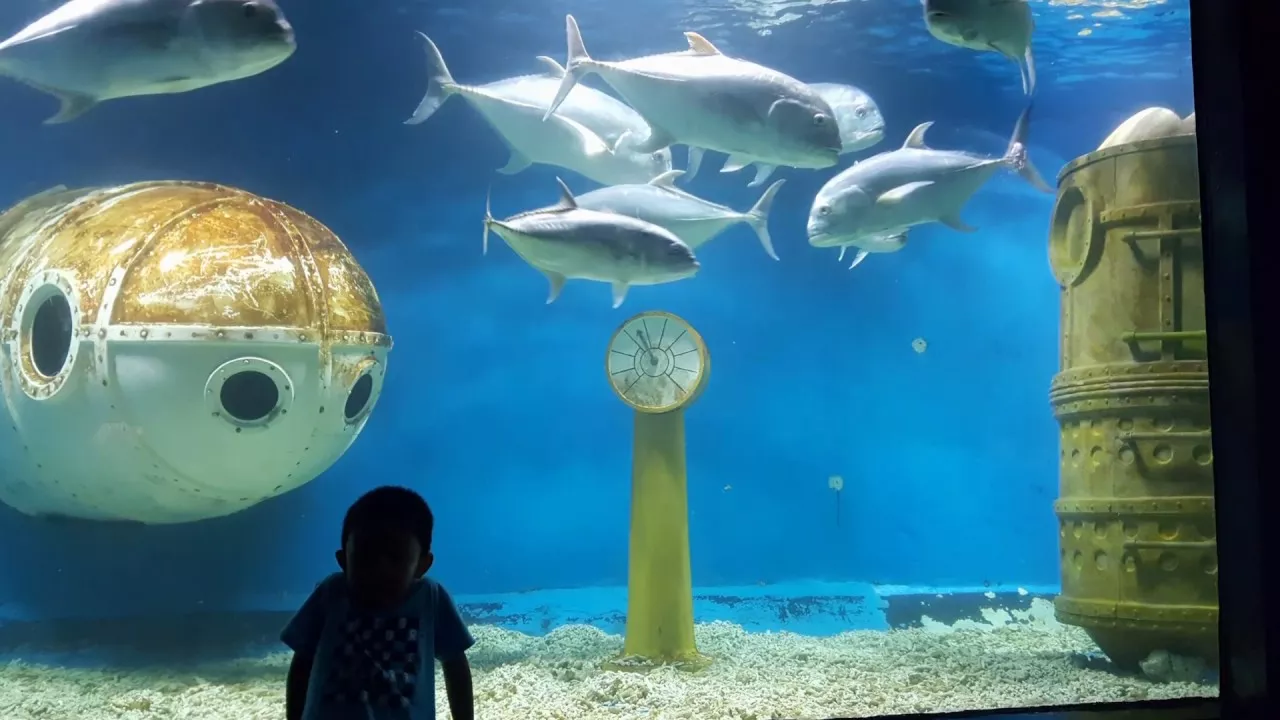 Manila Ocean Park in Philippines, Central Asia | Aquariums & Oceanariums - Rated 4.6