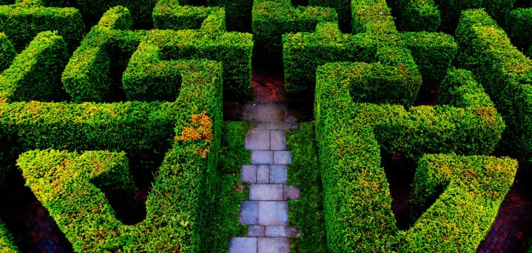 Hampton Court Maze in United Kingdom, Europe | Labyrinths - Rated 3.7