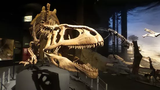 Egidio Feruglio Paleontological Museum in Argentina, South America | Museums - Rated 3.7