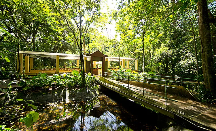 Recife Botanical Garden in Brazil, South America | Botanical Gardens - Rated 4.1