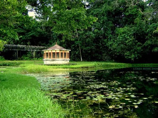 Benjamin Maranhao Botanical Garden in Brazil, South America | Botanical Gardens - Rated 3.8