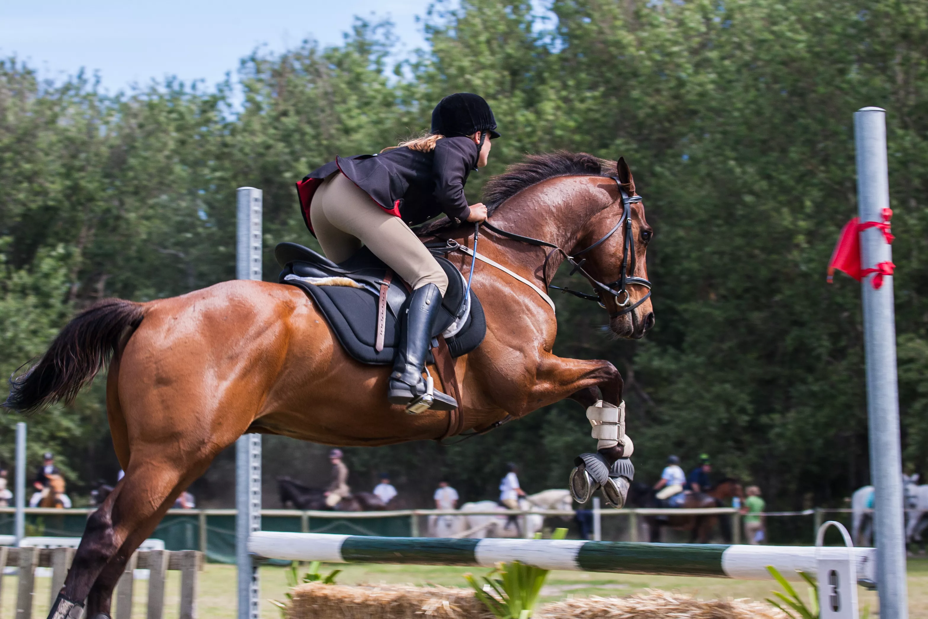 Lindinhof Equine Sports Zentrum in USA, North America | Horseback Riding - Rated 1