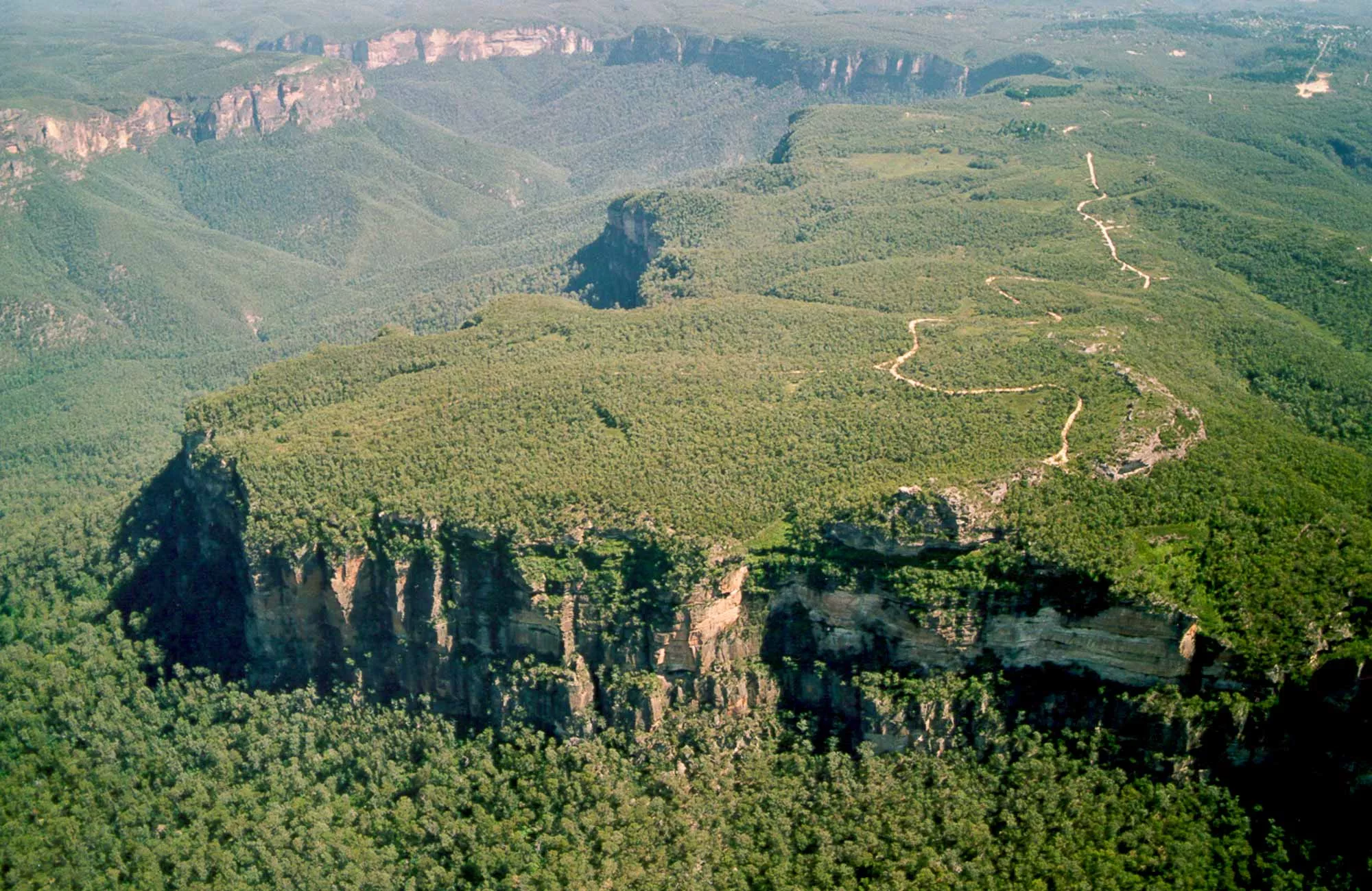 Blue Gum Forest in Australia, Australia and Oceania | Trekking & Hiking - Rated 0.7