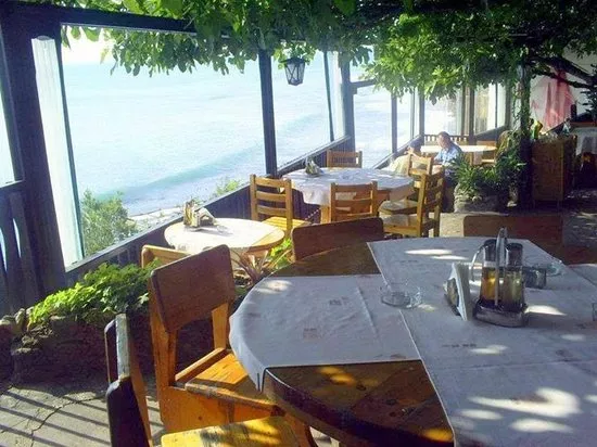 Plakamoto Restaurant in Bulgaria, Europe | Restaurants - Rated 3.7