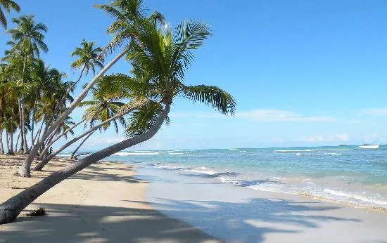 Punta Popy Beach in Dominican Republic, Caribbean | Beaches - Rated 3.8