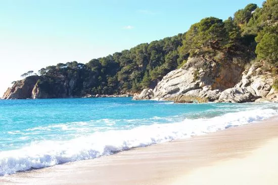 Platja de Garbi de Llorell in Spain, Europe | Beaches - Rated 3.6