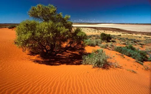 Great Victoria Desert in Australia, Australia and Oceania | Deserts - Rated 9.9