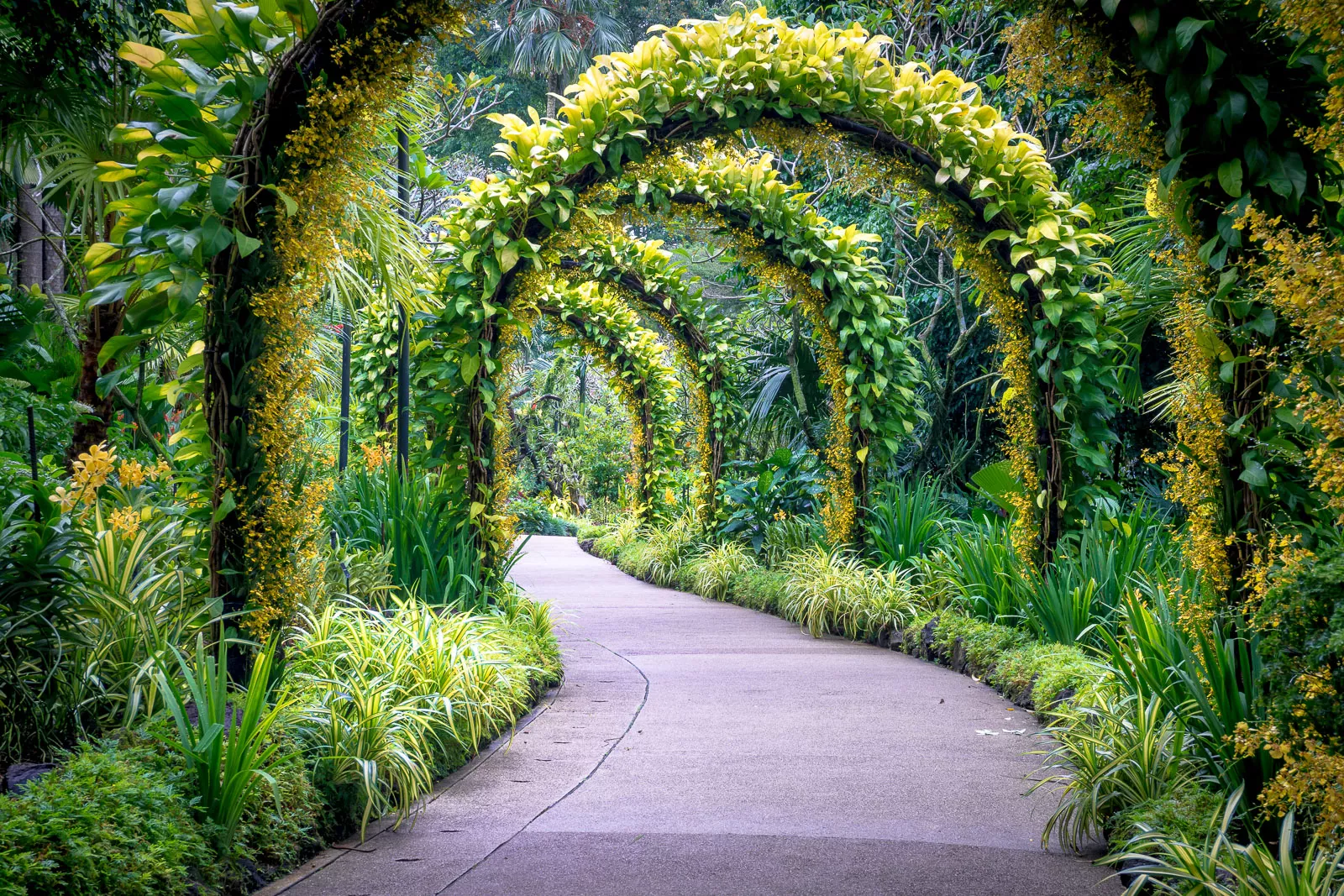 Singapore Botanical Gardens in Singapore, Central Asia | Botanical Gardens - Rated 6