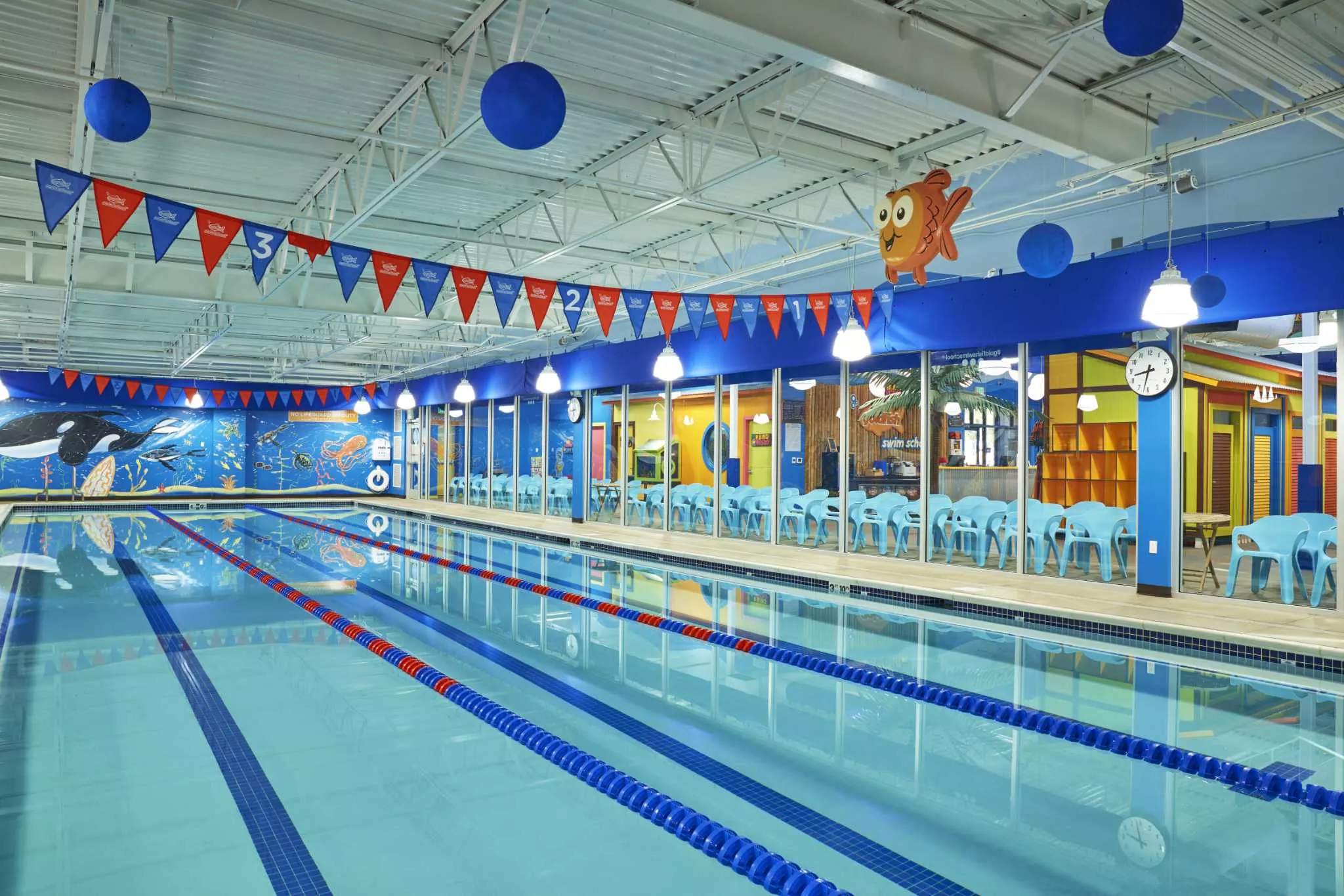 Goldfish Swim School - West Houston in USA, North America | Swimming - Rated 4.1