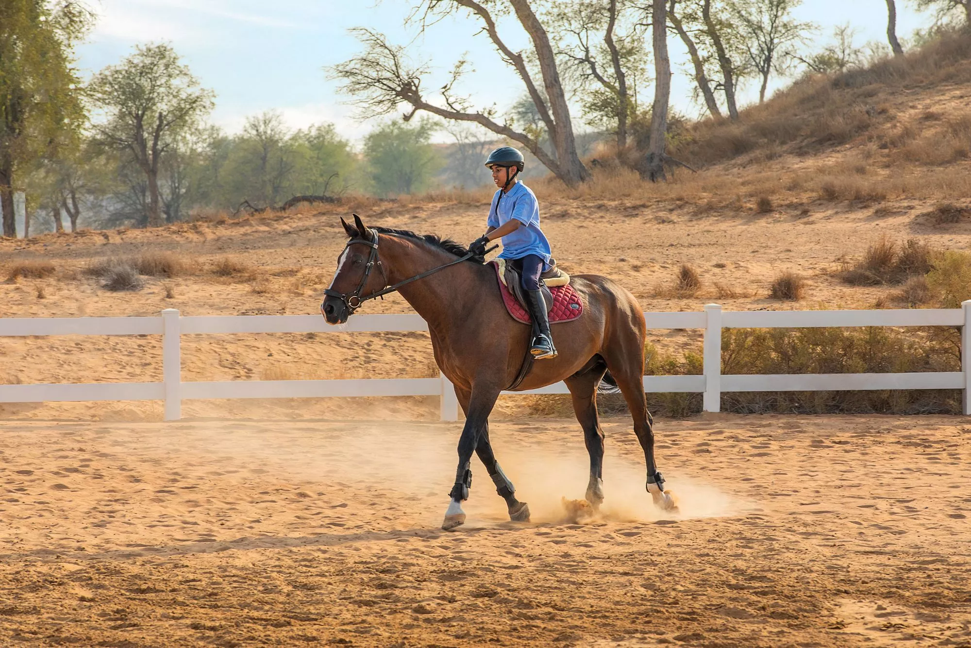 Double R Guest Ranch in USA, North America | Horseback Riding - Rated 1.1