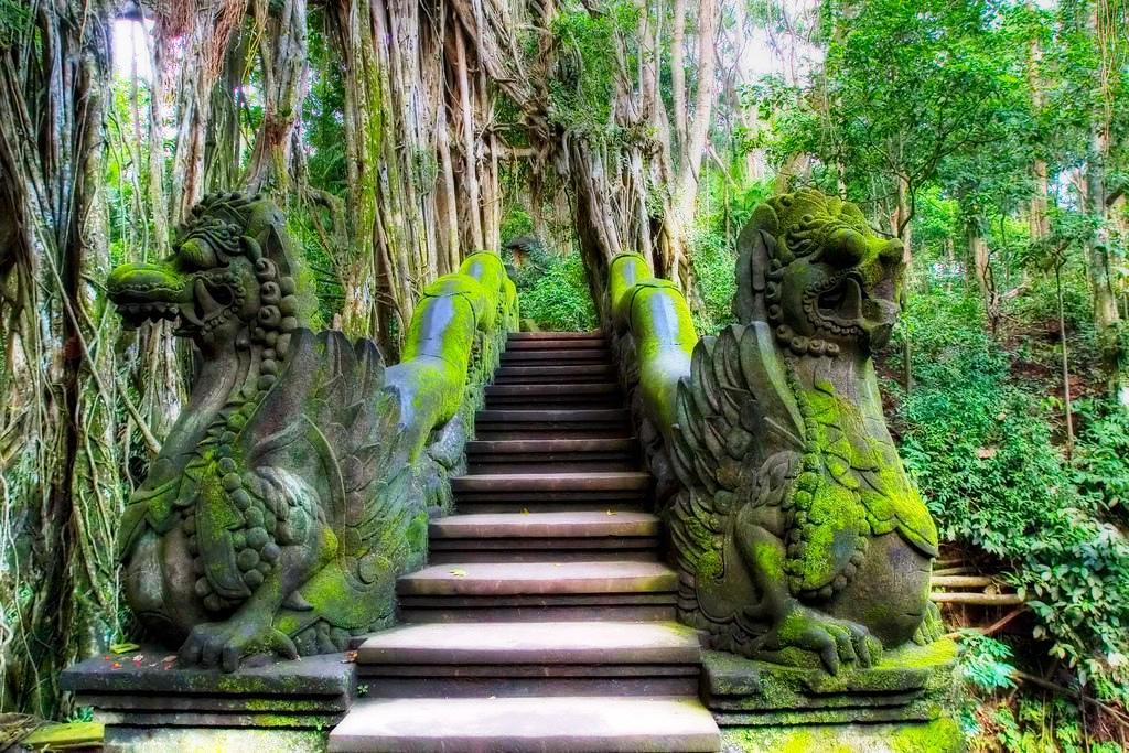 Sacred Monkey Forest Sanctuary in Indonesia, Central Asia | Zoos & Sanctuaries - Rated 6.8
