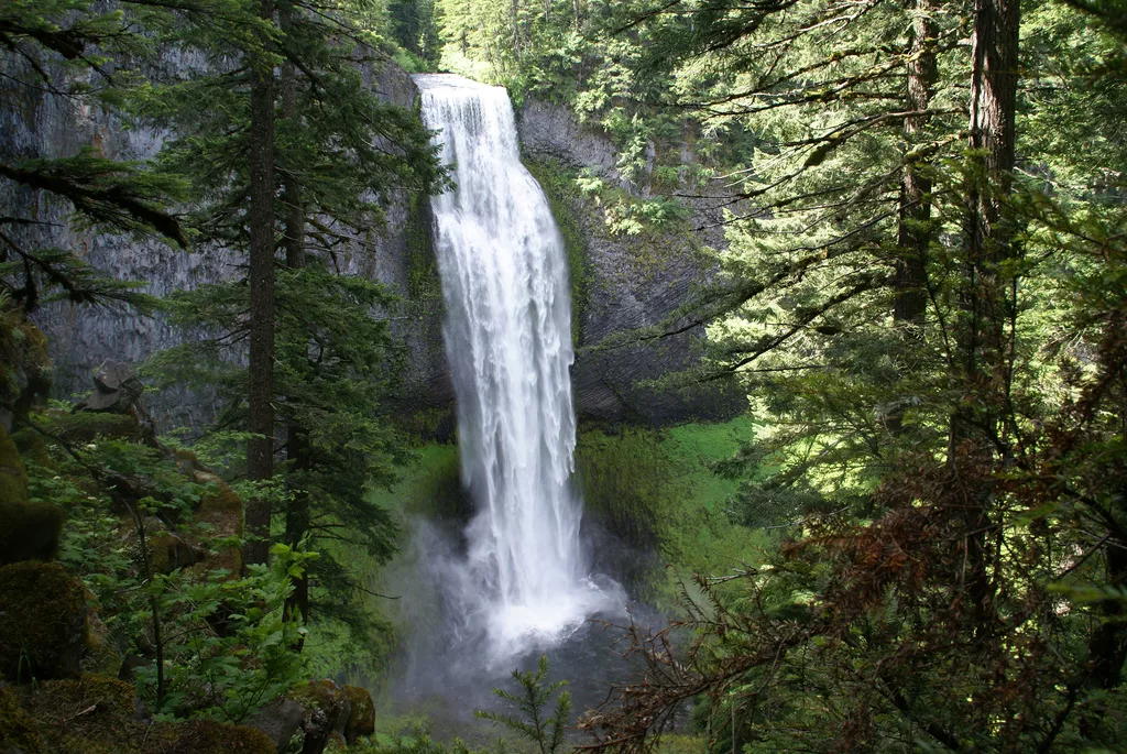 Salt Creek Falls in USA, North America | Waterfalls - Rated 0.9