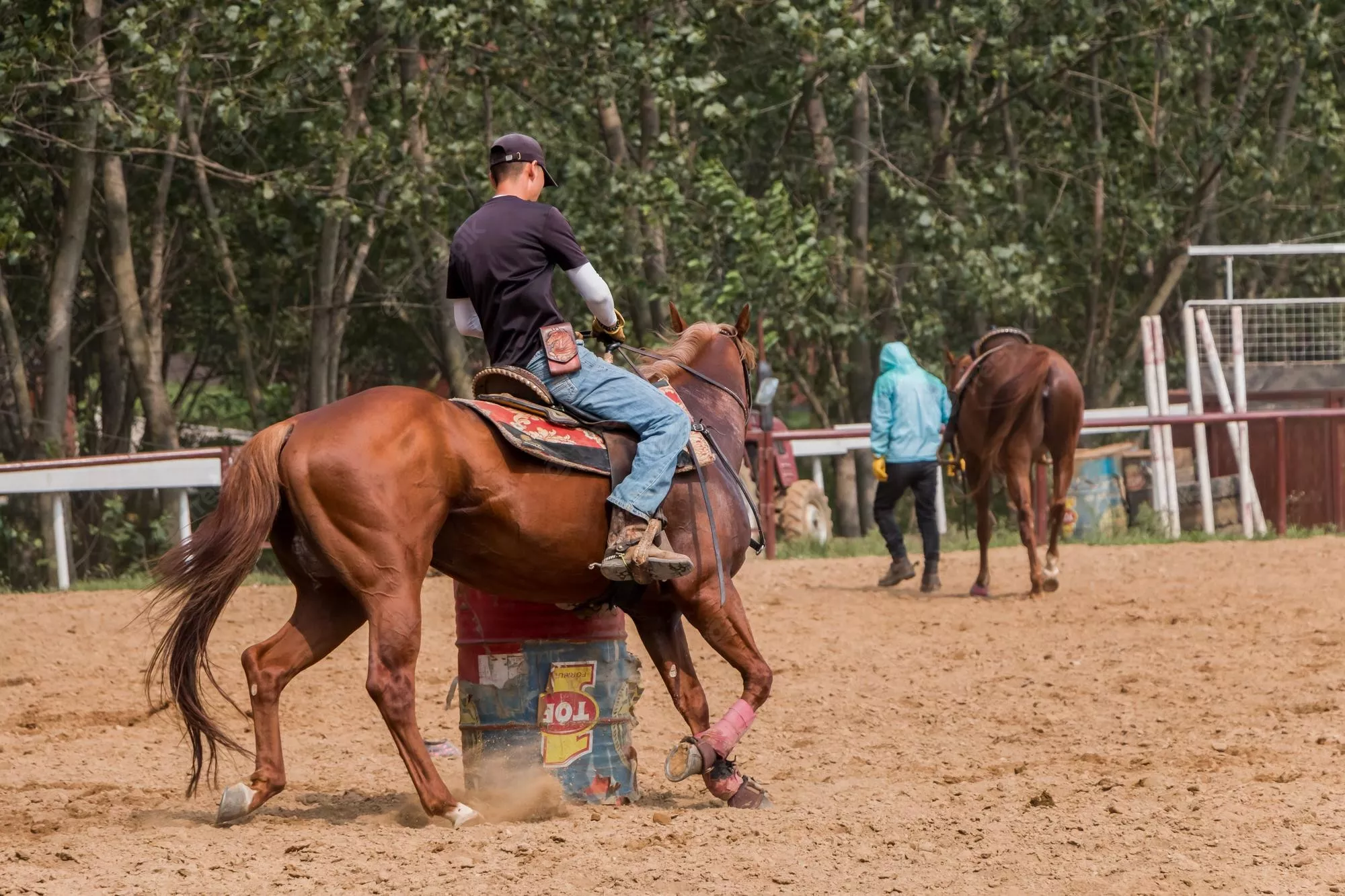 Hyderabad Horse Riding School in India, Central Asia | Horseback Riding - Rated 4.1