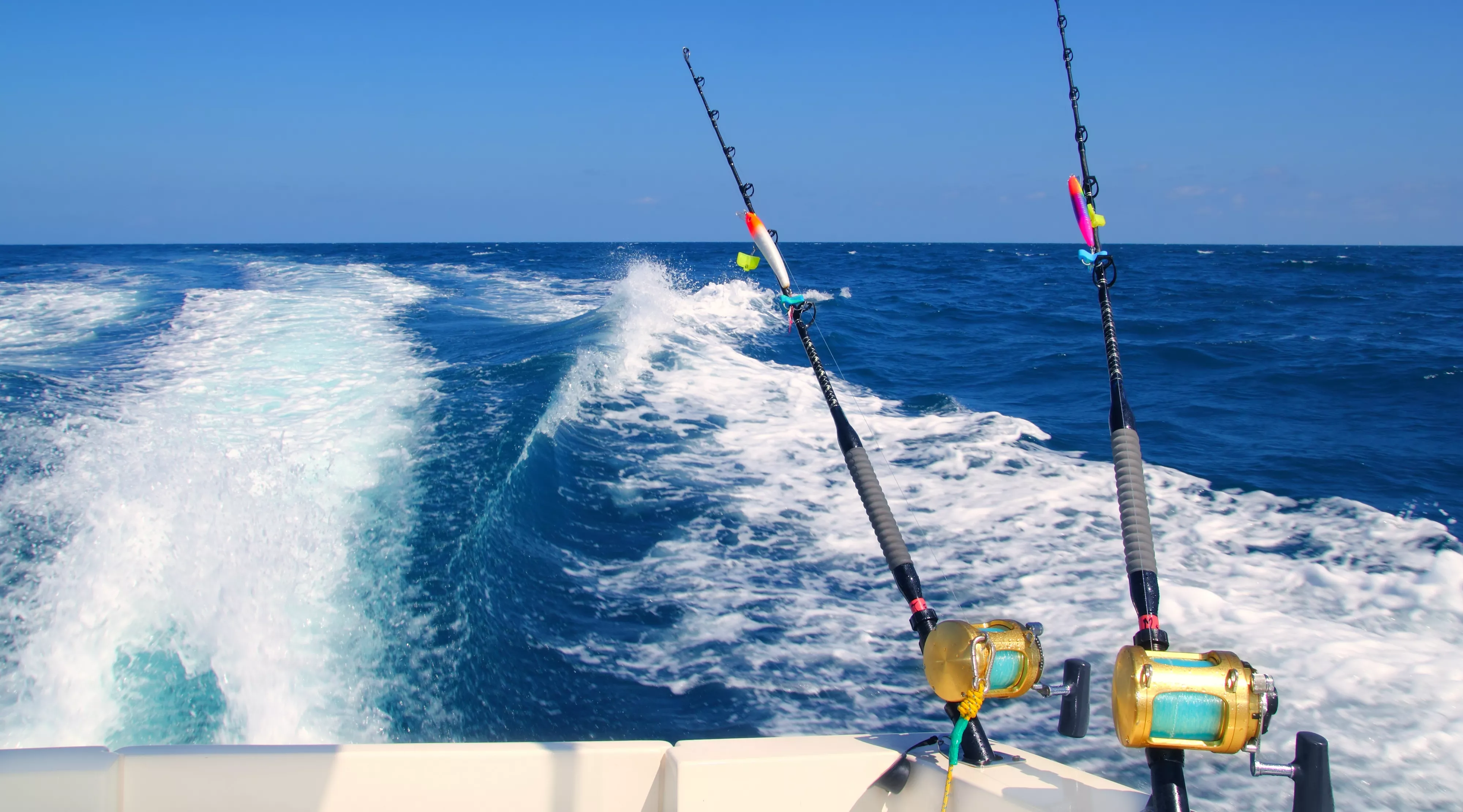 Cast Away Fishing Charters in USA, North America | Fishing - Rated 1.1