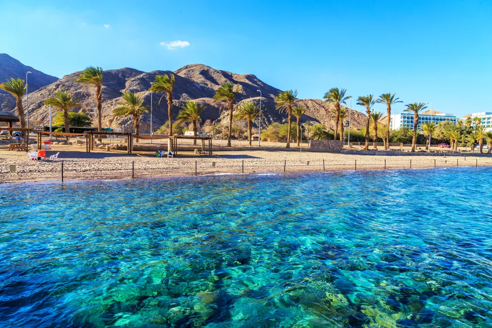 Eilat's Coral Beach Nature Reserve and Conservation Area in Israel, Middle East | Beaches,Nature Reserves - Rated 4.4
