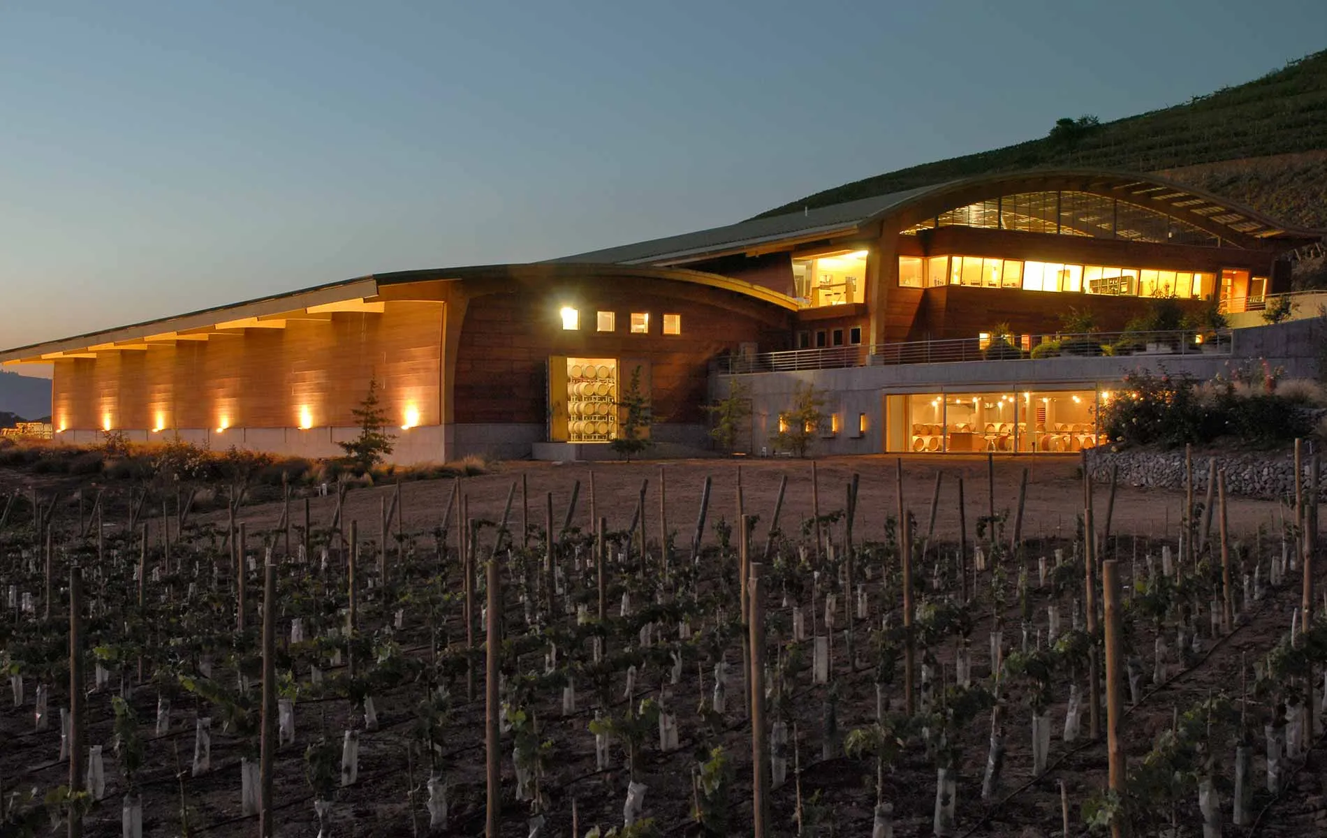 Winery Chocalan in Chile, South America | Wineries - Rated 0.8