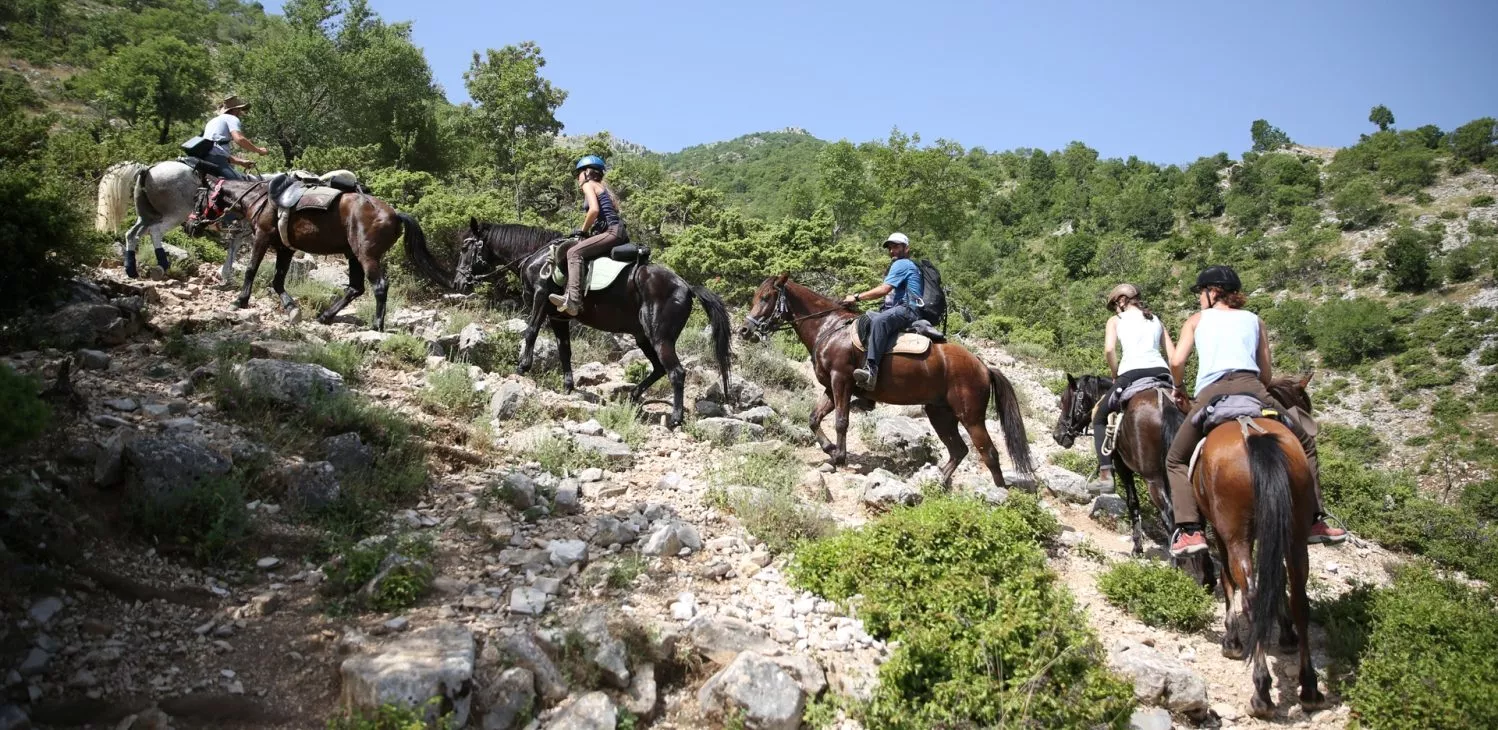 Caravan Horse Riding Albania in Albania, Europe | Horseback Riding - Rated 0.9