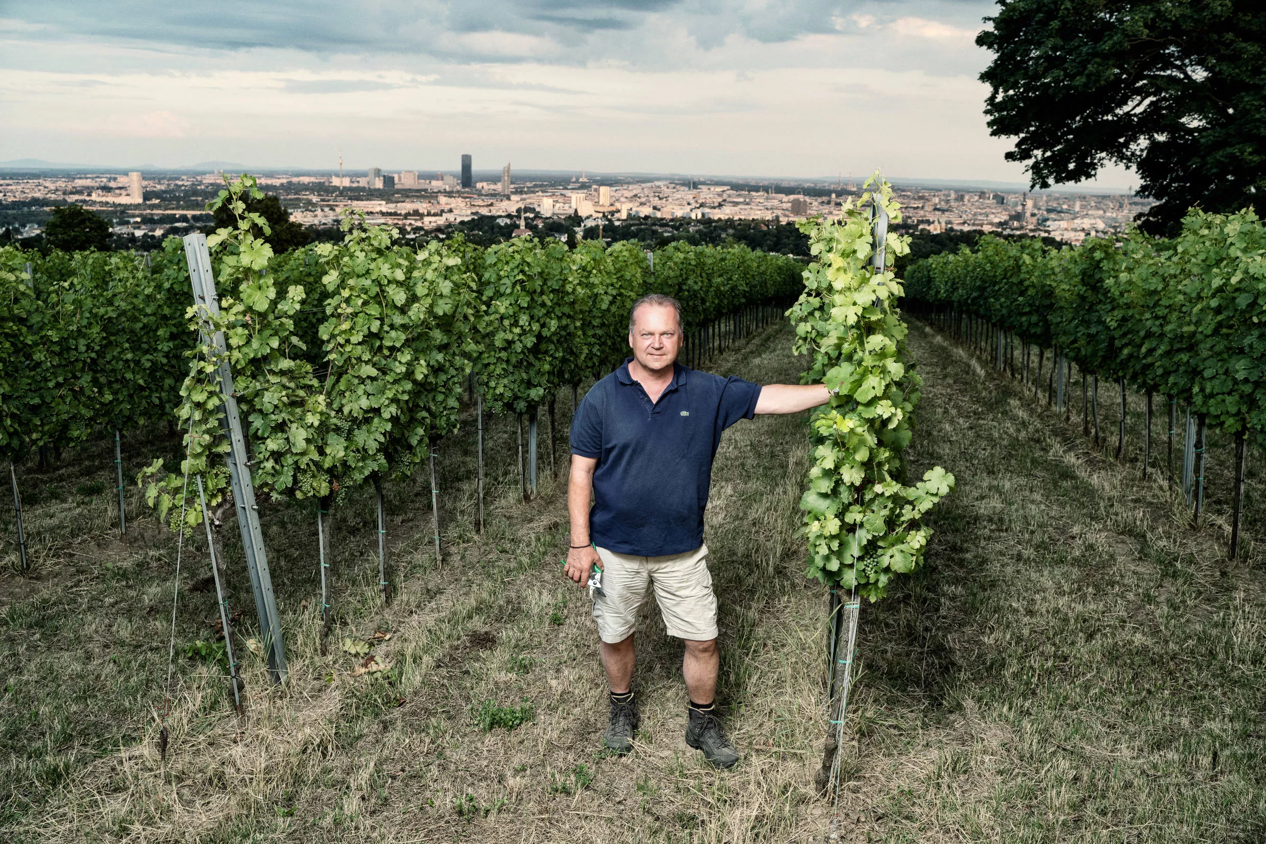 Fritz Wieninger in Austria, Europe | Wineries - Rated 0.9