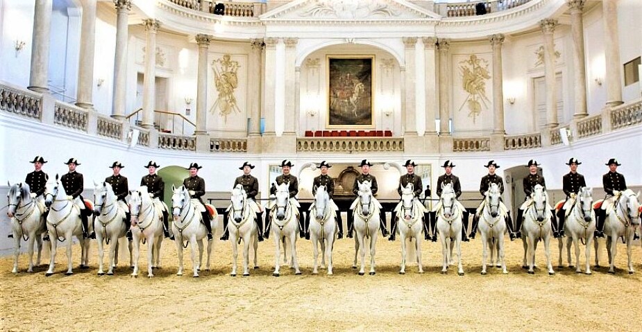 Spanish riding school in Austria, Europe | Horseback Riding - Rated 4.8