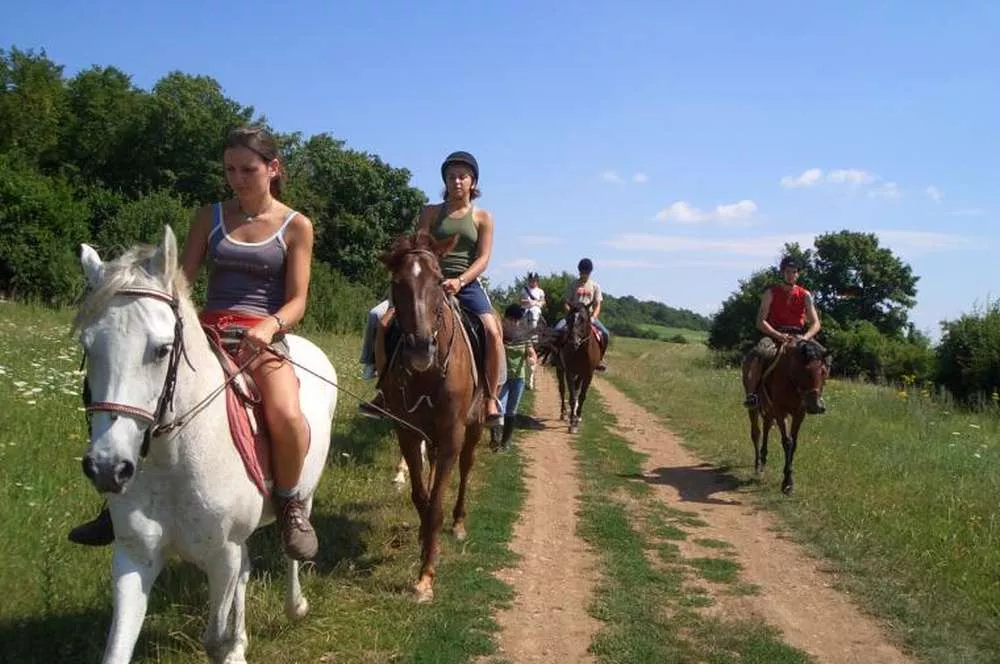 Stables Stetice in Czech Republic, Europe | Horseback Riding - Rated 1.2