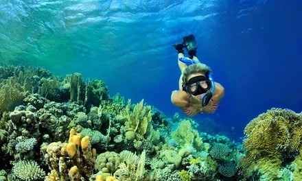 SeaDaddys Adventures N Diving in USA, North America | Scuba Diving - Rated 3.4
