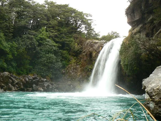Tawhai Falls in New Zealand, Australia and Oceania | Waterfalls - Rated 3.8