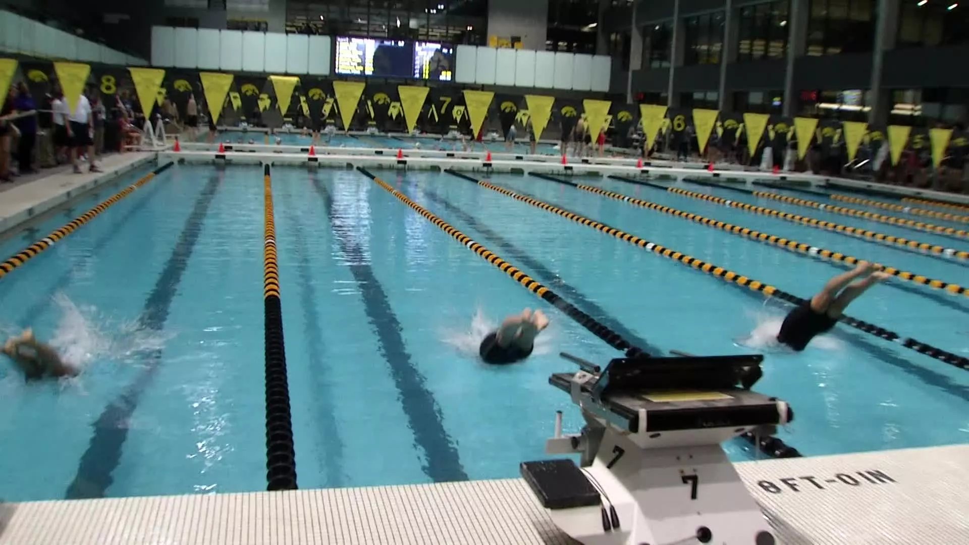University of Alberta Aquatic Centre in Canada, North America | Swimming - Rated 0.8