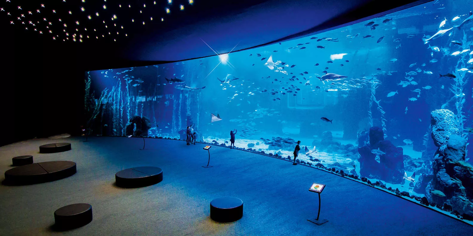 Poema Aquariums in Spain, Europe | Aquariums & Oceanariums - Rated 4.4
