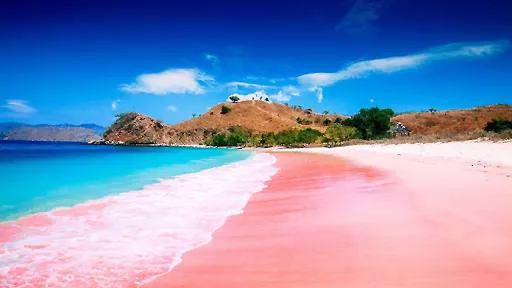 Pink Beach in Indonesia, Central Asia | Beaches - Rated 3.7