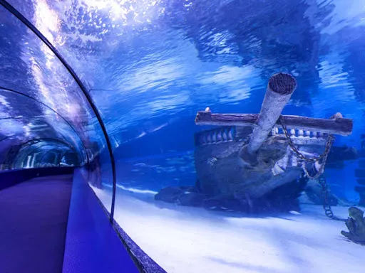 Antalya Aquarium in Turkey, Central Asia | Aquariums & Oceanariums - Rated 4.9